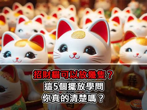 招財貓可以放幾隻|招財貓怎麼擺放 ？招財貓里要放幾個硬幣？